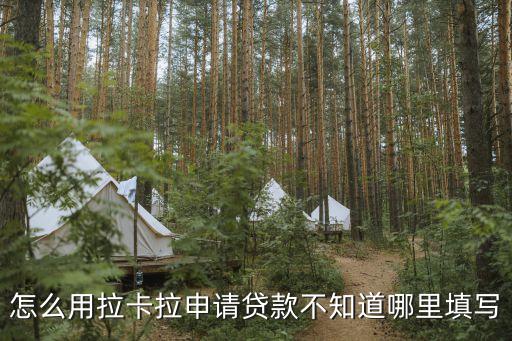 怎么用拉卡拉申請(qǐng)貸款不知道哪里填寫
