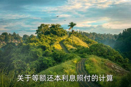 償還本利和怎么算，計算出該還的本金和利息