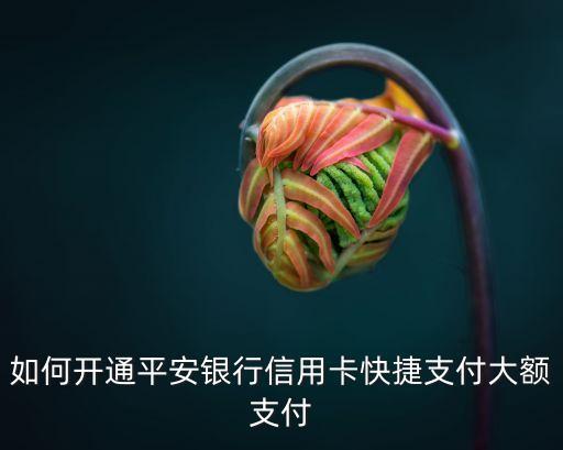 如何開通平安銀行信用卡快捷支付大額支付