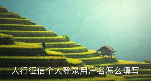人行征信個(gè)人登錄用戶名怎么填寫