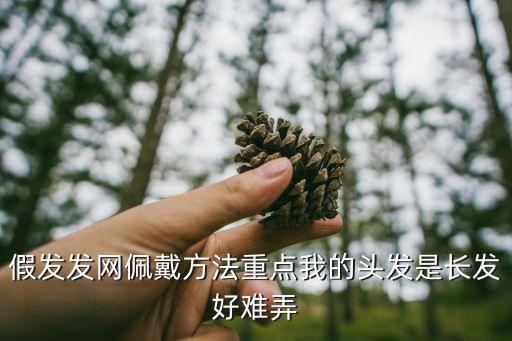 假發(fā)發(fā)網(wǎng)佩戴方法重點(diǎn)我的頭發(fā)是長(zhǎng)發(fā)好難弄