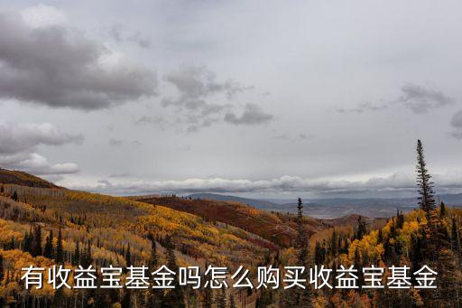 有收益寶基金嗎怎么購(gòu)買收益寶基金