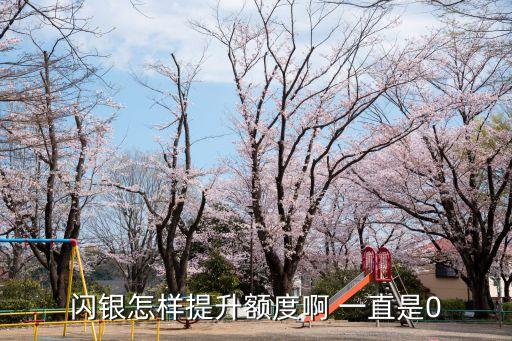 閃銀怎樣提升額度啊 一直是0