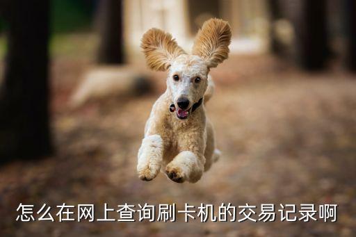 pos機怎么看到賬，新支付手機pos機怎么查刷卡到賬