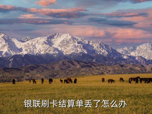 銀聯(lián)刷卡結(jié)算單丟了怎么辦