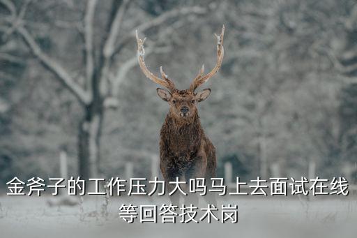 金斧子的工作壓力大嗎馬上去面試在線等回答技術(shù)崗