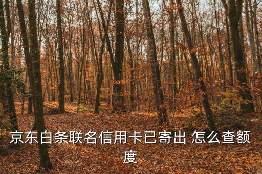 聯(lián)名信用卡怎么查額度是多少錢，招行天貓聯(lián)名卡怎么查額度