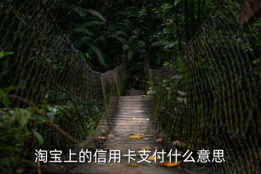 淘寶信用支付是怎么回事，淘寶 手機訂單 信用支付 什么意思
