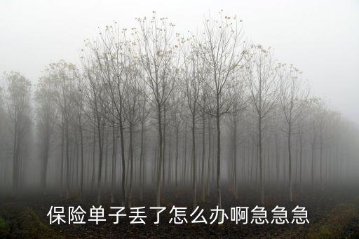 保險單據(jù)丟失了怎么辦，急急急保險單丟了怎么辦