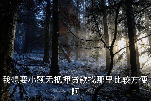 我想要小額無抵押貸款找那里比較方便阿
