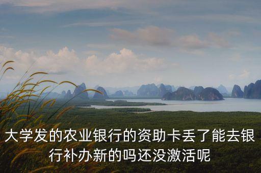 農(nóng)業(yè)補(bǔ)助卡丟失怎么辦，農(nóng)業(yè)專項(xiàng)補(bǔ)貼銀行卡丟失怎么辦