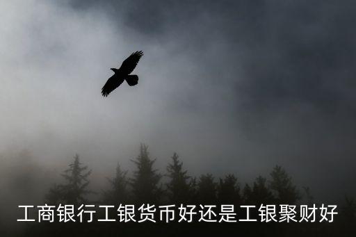 工銀聚財(cái)怎么樣，工商銀行工銀貨幣好還是工銀聚財(cái)好