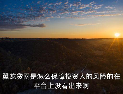 翼龍貸網(wǎng)是怎么保障投資人的風(fēng)險(xiǎn)的在平臺(tái)上沒(méi)看出來(lái)啊