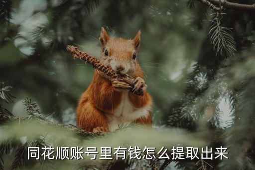 同花順賬號里有錢怎么提取出來
