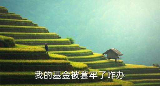 我的基金被套牢了咋辦