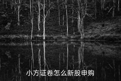 小方里面怎么沒有新股申購，方正證券小方手機版新股申購在哪