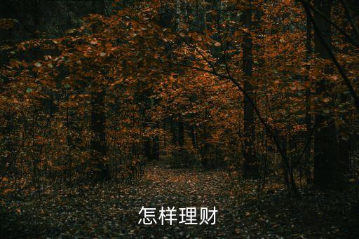 怎樣理財(cái)