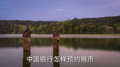 猴年銀幣怎么預(yù)約，中國(guó)銀行怎樣預(yù)約猴幣