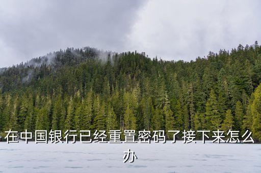 在中國銀行已經(jīng)重置密碼了接下來怎么辦