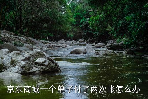 京東商城一個單子付了兩次帳怎么辦