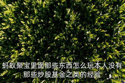螞蟻聚寶里面那些東西怎么玩本人沒有那些炒股基金之類的經(jīng)驗
