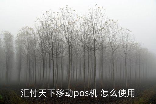 匯付天下移動(dòng)pos機(jī) 怎么使用