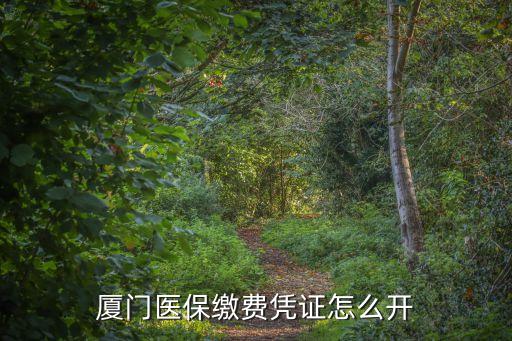 廈門醫(yī)保繳費(fèi)憑證怎么開
