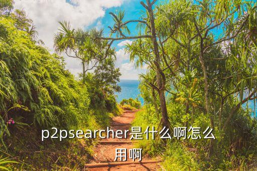 p2psearcher是什么啊怎么用啊