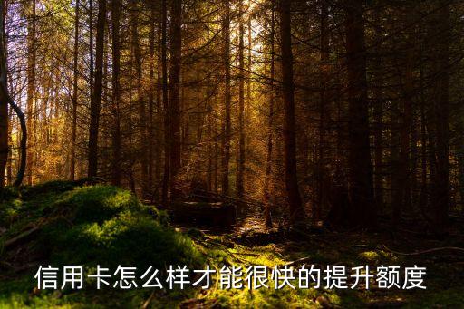 信用卡怎么快速提額度，如何快速提高信用卡額度