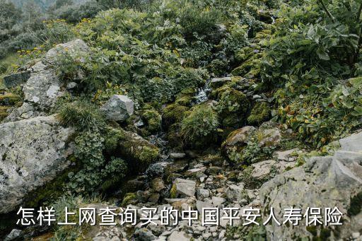 買平安保險怎么查，怎樣上網(wǎng)查詢買的中國平安人壽保險