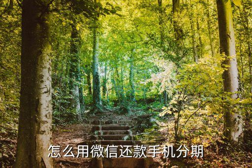 手機螞蟻微貸怎么還款，怎么用微信還款手機分期
