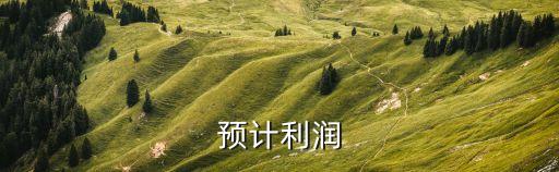 預(yù)計(jì)利潤