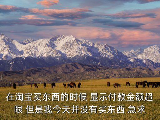 淘寶付款出現(xiàn)超額是怎么了，手機淘寶買東西支付顯示超出額度什么意思