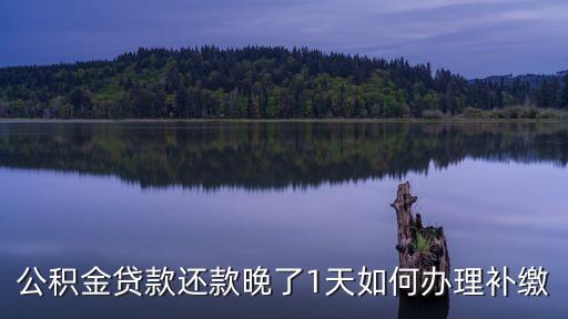 公積金還款怎么補(bǔ)交，補(bǔ)交公積金怎么補(bǔ)繳