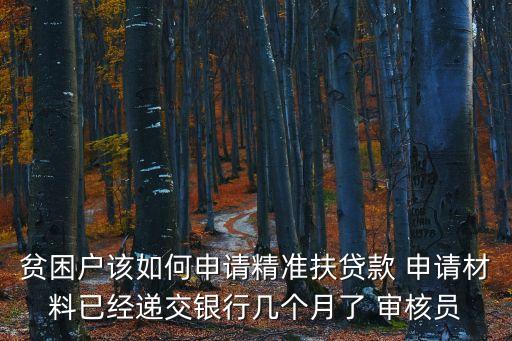 精準(zhǔn)撫平貸款怎么貸，貧困戶該如何申請精準(zhǔn)扶貸款 申請材料已經(jīng)遞交銀行幾個月了 審核員