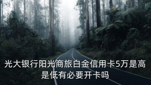 光大銀行陽光商旅白金信用卡5萬是高是低有必要開卡嗎