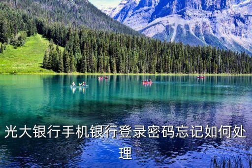 光大銀行三個密碼忘了怎么辦，中國光大銀行密碼忘記怎么辦