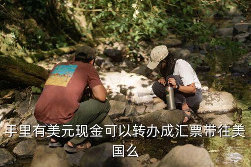 手里有美元怎么不能上，為什么工商銀行網(wǎng)上外匯實(shí)盤交易里不能購買美元而可以購買英
