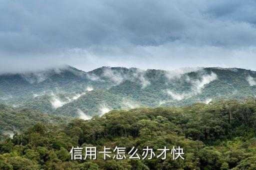 信用卡怎么辦才快