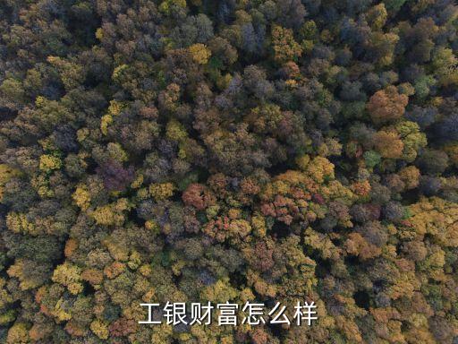 工銀財富怎么樣