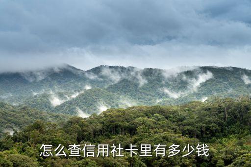 我在河北信用社怎么查詢余額，現(xiàn)在查河北信用社存折余額怎么查