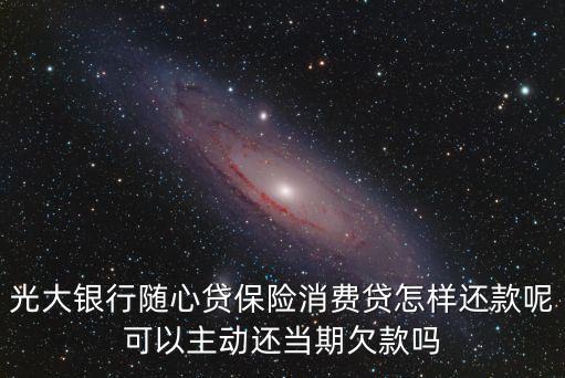 光大銀行隨心貸保險(xiǎn)消費(fèi)貸怎樣還款呢可以主動(dòng)還當(dāng)期欠款嗎