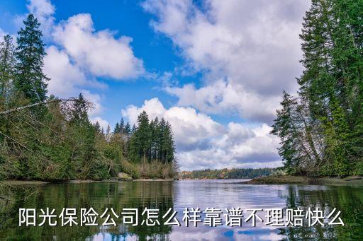 陽(yáng)光保險(xiǎn)怎么樣靠譜嗎，誰(shuí)知道陽(yáng)光保險(xiǎn)怎么樣