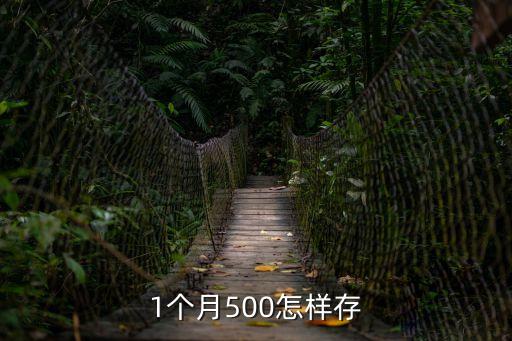 1個(gè)月500怎樣存