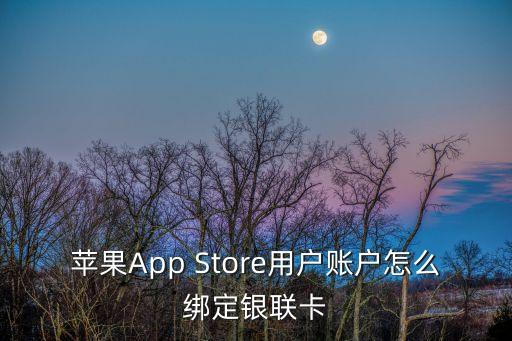 蘋果App Store用戶賬戶怎么綁定銀聯(lián)卡