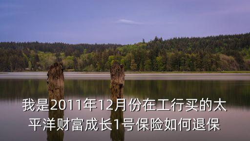 財(cái)富成長(zhǎng)一號(hào)怎么退保，工商銀行的理財(cái)產(chǎn)品財(cái)富成長(zhǎng)一號(hào)能退嗎 是要連著交15年每年交3000