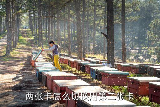 手機切換卡號怎么設(shè)置，兩張卡怎么切換用第二張卡