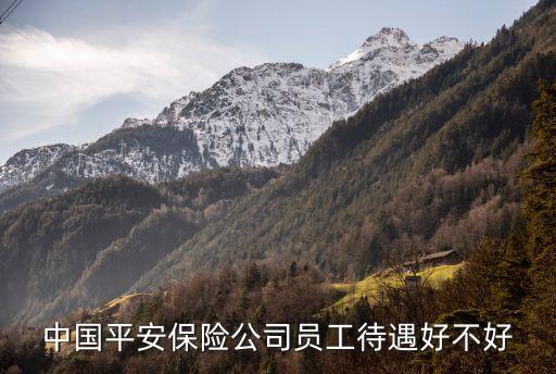 平安的員工鑫怎么樣，平安保險(xiǎn)員工待遇怎么樣