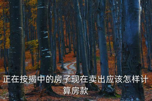 正在按揭中的房子現(xiàn)在賣出應(yīng)該怎樣計算房款