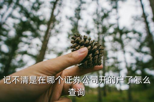 記不清是在哪個證券公司開的戶了怎么查詢